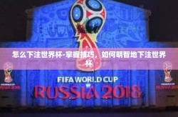 怎么下注世界杯-掌握技巧，如何明智地下注世界杯