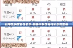 在哪里买世界杯彩票-揭秘购买世界杯彩票的渠道