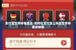 支付宝世界杯哪里买-如何在支付宝上购买世界杯看球体验