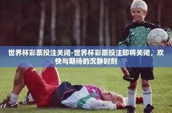 世界杯彩票投注关闭-世界杯彩票投注即将关闭，欢快与期待的沉静时刻