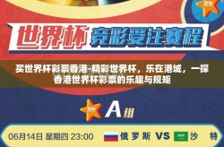 买世界杯彩票香港-精彩世界杯，乐在港城，一探香港世界杯彩票的乐趣与规矩