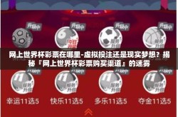 网上世界杯彩票在哪里-虚拟投注还是现实梦想？揭秘『网上世界杯彩票购买渠道』的迷雾