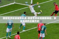 微信世界杯买球怎么买-微信世界杯观赛新体验，安全购球的正确方式