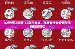 02世界杯彩票-02年世界杯，那些激情与梦想交织的彩票记忆