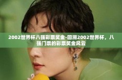 2002世界杯八强彩票奖金-回溯2002世界杯，八强门票的彩票奖金风云