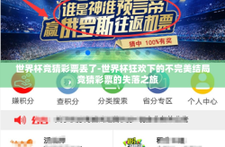 世界杯竞猜彩票丢了-世界杯狂欢下的不完美结局，竞猜彩票的失落之旅