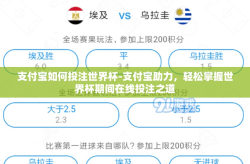 支付宝如何投注世界杯-支付宝助力，轻松掌握世界杯期间在线投注之道