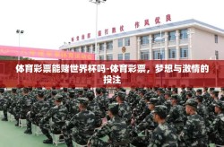 体育彩票能赌世界杯吗-体育彩票，梦想与激情的投注