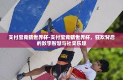 支付宝竞猜世界杯-支付宝竞猜世界杯，狂欢背后的数字智慧与社交乐趣