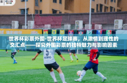 世界杯彩票外围-世界杯足球赛，从激情到理性的交汇点——探究外围彩票的独特魅力与影响因素