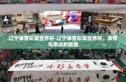 辽宁体育彩票世界杯-辽宁体育彩票世界杯，激情与幸运的碰撞