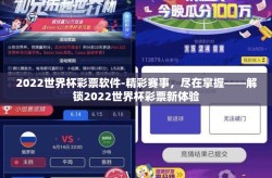 2022世界杯彩票软件-精彩赛事，尽在掌握——解锁2022世界杯彩票新体验