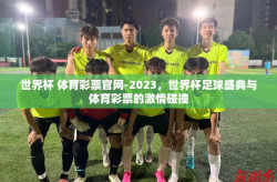 世界杯 体育彩票官网-2023，世界杯足球盛典与体育彩票的激情碰撞