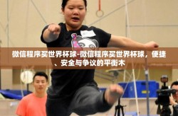 微信程序买世界杯球-微信程序买世界杯球，便捷、安全与争议的平衡木