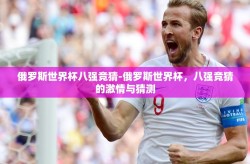 俄罗斯世界杯八强竞猜-俄罗斯世界杯，八强竞猜的激情与猜测