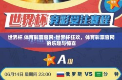世界杯 体育彩票官网-世界杯狂欢，体育彩票官网的乐趣与惊喜