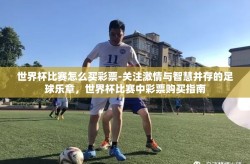 世界杯比赛怎么买彩票-关注激情与智慧并存的足球乐章，世界杯比赛中彩票购买指南