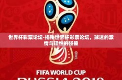 世界杯彩票论坛-揭秘世界杯彩票论坛，球迷的激情与理性的碰撞