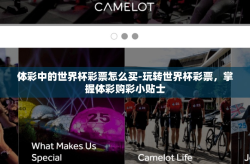 体彩中的世界杯彩票怎么买-玩转世界杯彩票，掌握体彩购彩小贴士