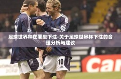 足球世界杯在哪里下注-关于足球世界杯下注的合理分析与建议
