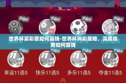 世界杯买彩票如何算钱-世界杯购彩策略，深度指南如何算钱