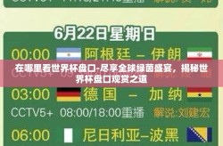 在哪里看世界杯盘口-尽享全球绿茵盛宴，揭秘世界杯盘口观赏之道
