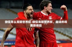 微信怎么竞猜世界杯-微信竞猜世界杯，趣味的观赛新体验