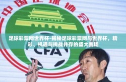 足球彩票网世界杯-揭秘足球彩票网与世界杯，精彩、机遇与挑战并存的盛大赛场