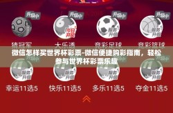 微信怎样买世界杯彩票-微信便捷购彩指南，轻松参与世界杯彩票乐趣