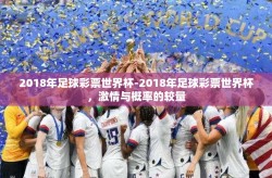 2018年足球彩票世界杯-2018年足球彩票世界杯，激情与概率的较量