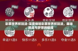 彩票世界杯玩法-深度体验彩票世界杯玩法，趣味、挑战与梦想的碰撞