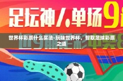 世界杯彩票什么买法-玩味世界杯，智取足球彩票之道