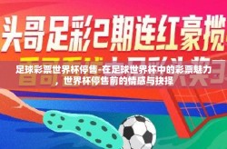足球彩票世界杯停售-在足球世界杯中的彩票魅力，世界杯停售前的情感与抉择