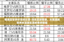 喝酒买世界杯足球彩票-浅谈足球情缘，从喝酒到世界杯足球彩票的奇妙旅程