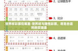 世界杯彩票在哪里-世界杯与理性彩票，寻觅合适的购买渠道