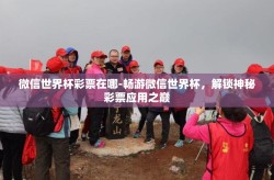 微信世界杯彩票在哪-畅游微信世界杯，解锁神秘彩票应用之巅