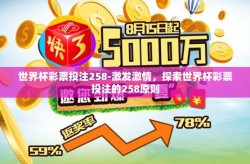 世界杯彩票投注258-激发激情，探索世界杯彩票投注的258原则
