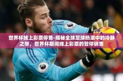 世界杯线上彩票停售-揭秘全球足球热潮中的冷静之举，世界杯期间线上彩票的暂停销售