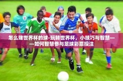 怎么赌世界杯的球-玩转世界杯，小技巧与智慧——如何智慧参与足球彩票投注