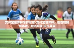 支付宝世界杯怎样赌球-支付宝世界杯，理性观赛新体验，智选足球 乐在其中