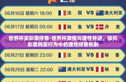 世界杯买彩票停售-世界杯激情与理性并进，探究彩票购买行为中的理性停售机制