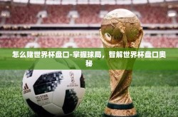 怎么赌世界杯盘口-掌握球局，智解世界杯盘口奥秘