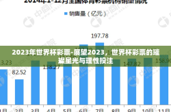 2023年世界杯彩票-展望2023，世界杯彩票的璀璨星光与理性投注