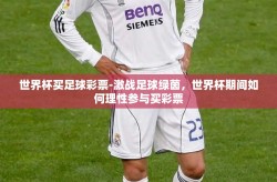 世界杯买足球彩票-激战足球绿茵，世界杯期间如何理性参与买彩票