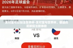 支付宝可以投注世界杯-支付宝与世界杯，便捷的足球投注新体验