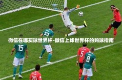 微信在哪买球世界杯-微信上球世界杯的购球指南