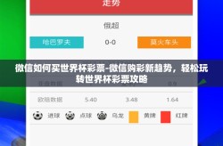 微信如何买世界杯彩票-微信购彩新趋势，轻松玩转世界杯彩票攻略