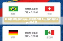 足球世界杯博彩app-足球世界杯下，智选博彩app的点滴