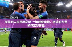 微信可以买世界杯吗-一键触碰激情，微信助力世界杯足彩体验