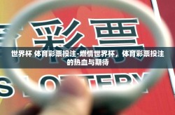 世界杯 体育彩票投注-燃情世界杯，体育彩票投注的热血与期待